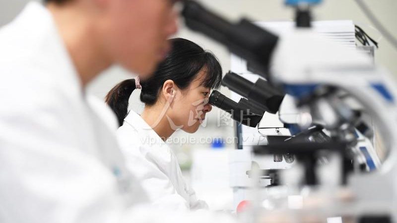 API原料药CDMO报价单：揭秘背后的考量因素