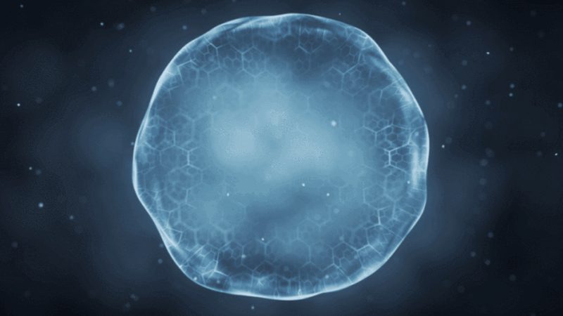 生物制品与化学药品：安全性的多维考量**