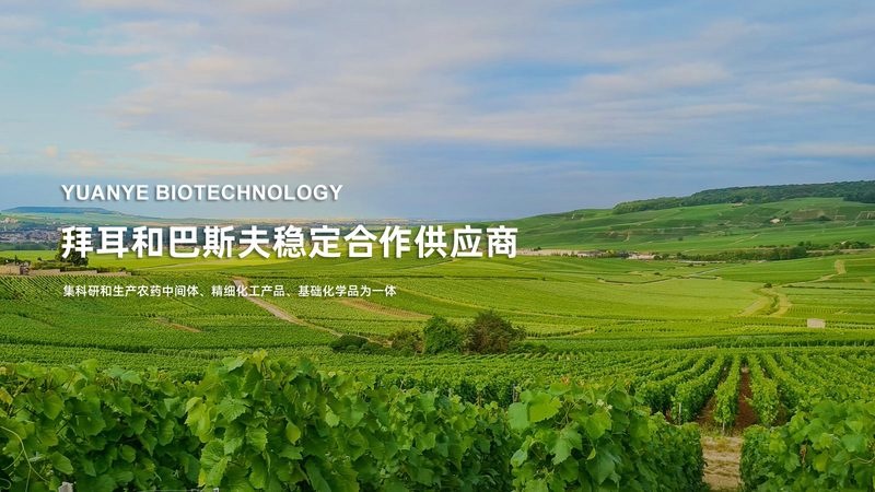 进口实验室耗材报关，这5步不可或缺
