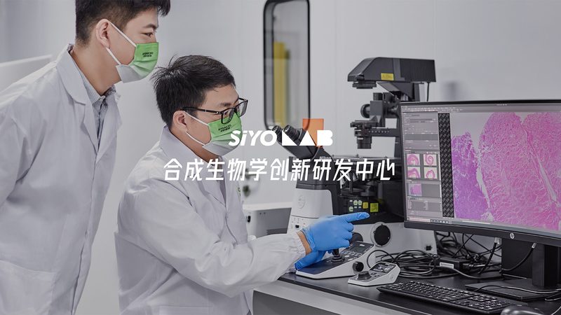 CDMO与CMO：项目评估中的关键区别解析