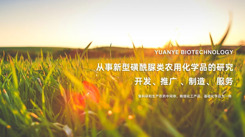 生物科技美容仪：揭秘价格背后的技术奥秘
