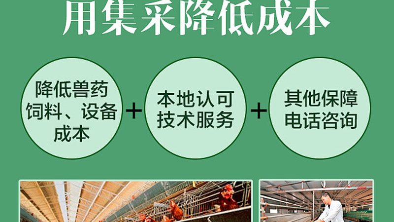 广州酶制剂批发厂家：如何选择合适的供应商？**