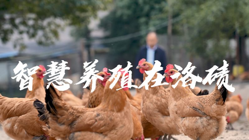 elisa试剂盒使用注意事项