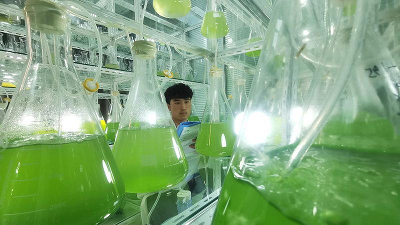 新生儿遗传病基因检测：守护生命起跑线的关键技术**